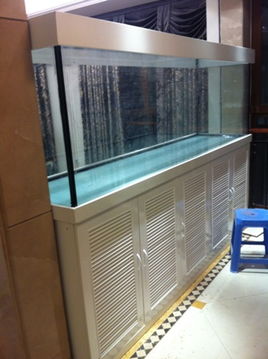 金晶水族用品厂 从图纸到杰作——现场制作鱼缸全记录