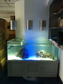 生态艺术新篇章 专业级进口鱼缸及底柜鉴赏